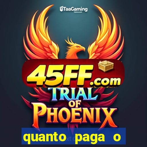 quanto paga o jungle fight